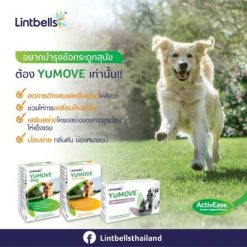 Lintbells YuMOVE Supplement for Senior Dog ผลิตภัณฑ์อาหารเสริมสำหรับบำรุงข้อต่อกระดูก สำหรับสุนัขที่มีอายุ 7 ปีขึ้นไป