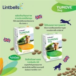 Lintbells YuMOVE Active Supplement for Dog  ผลิตภัณฑ์อาหารเสริมสำหรับบำรุงข้อต่อกระดูก 60 เม็ด (Best Before : 12/22))