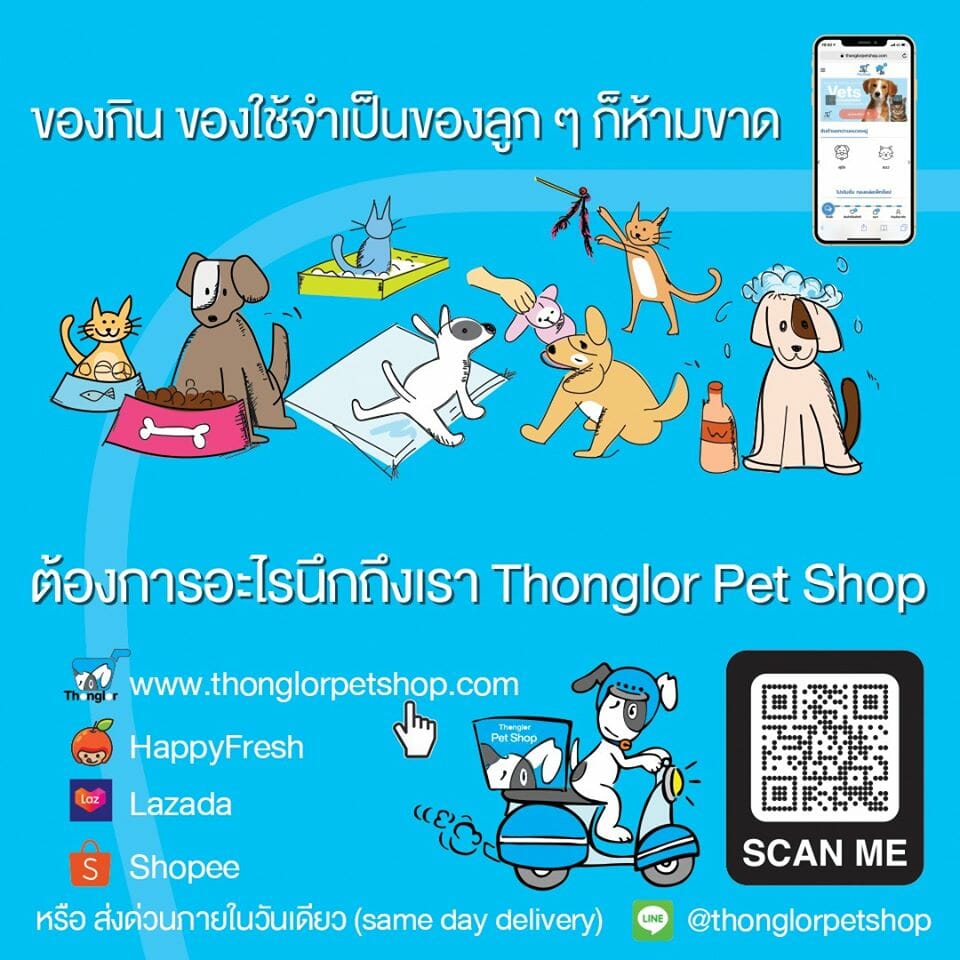 You are currently viewing ของใช้ลูกๆสี่ขาขาดให้นึกถึงเรา Thonglor Pet Shop