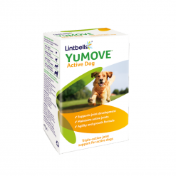 Lintbells YuMOVE Active Supplement for Dog  ผลิตภัณฑ์อาหารเสริมสำหรับบำรุงข้อต่อกระดูก 60 เม็ด (Best Before : 12/22))