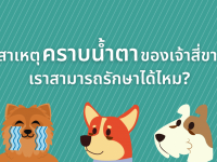 ไขข้อข้องใจเรื่องคราบน้ำตา เกิดจากอะไร? เราสามารถรักษาได้ไหม?