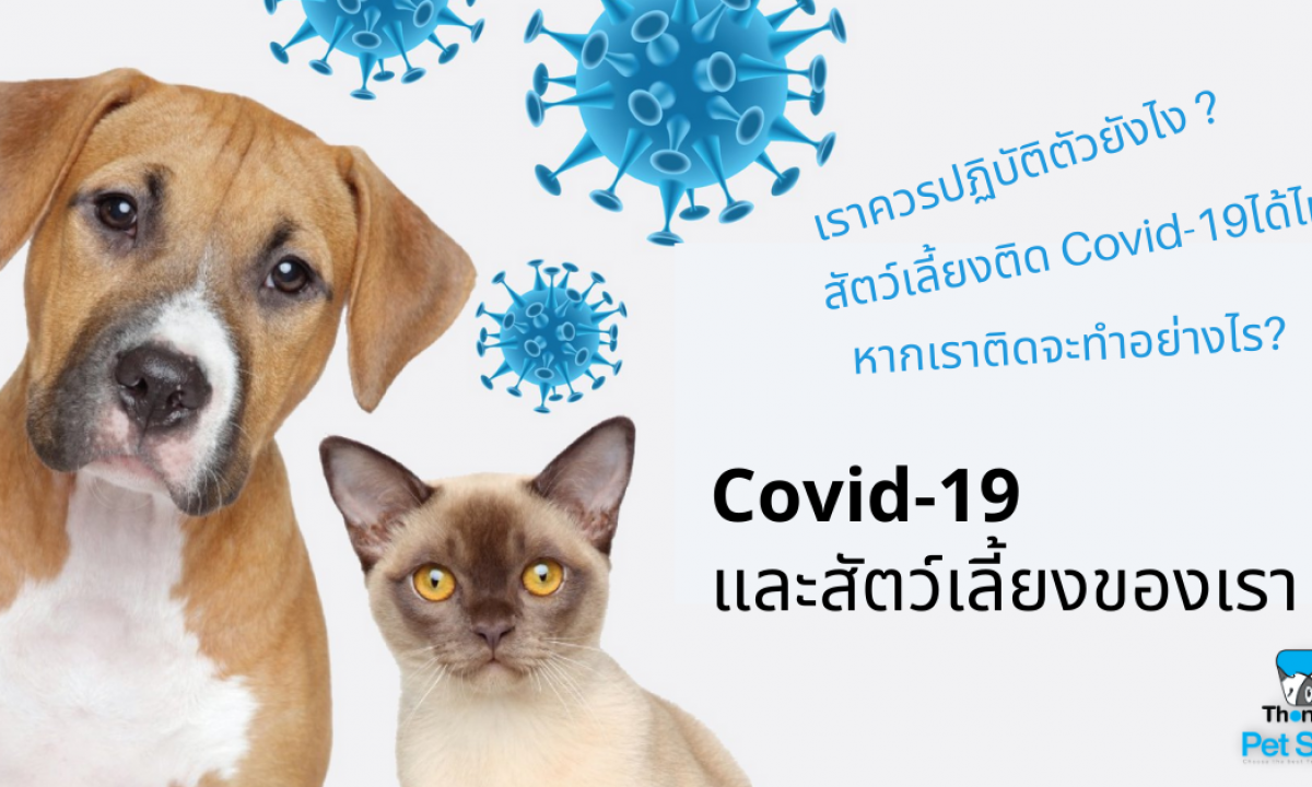 Covid-19 และสัตว์เลี้ยงของเรา