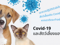 Covid-19 และสัตว์เลี้ยงของเรา