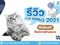 รีวิวทรายแมว แบบฉบับปี 2021 ยี่ห้อไหนน่าโดน