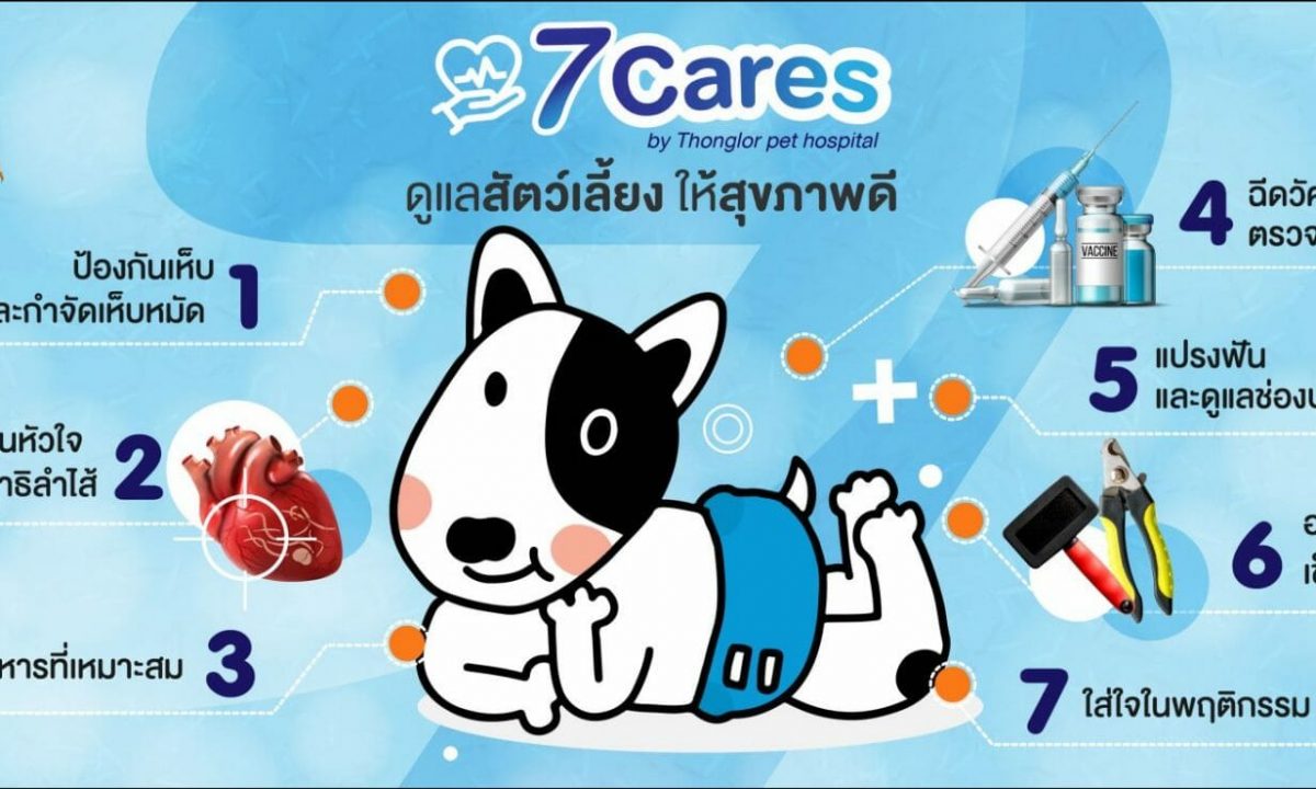 7 พ่อหมา ทาสแมวต้องรู้ ! (สุนัขแมวตัวแรกโปรดให้พ่อแม่คุณอ่าน)