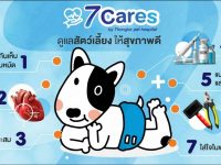 7 พ่อหมา ทาสแมวต้องรู้ ! (สุนัขแมวตัวแรกโปรดให้พ่อแม่คุณอ่าน)