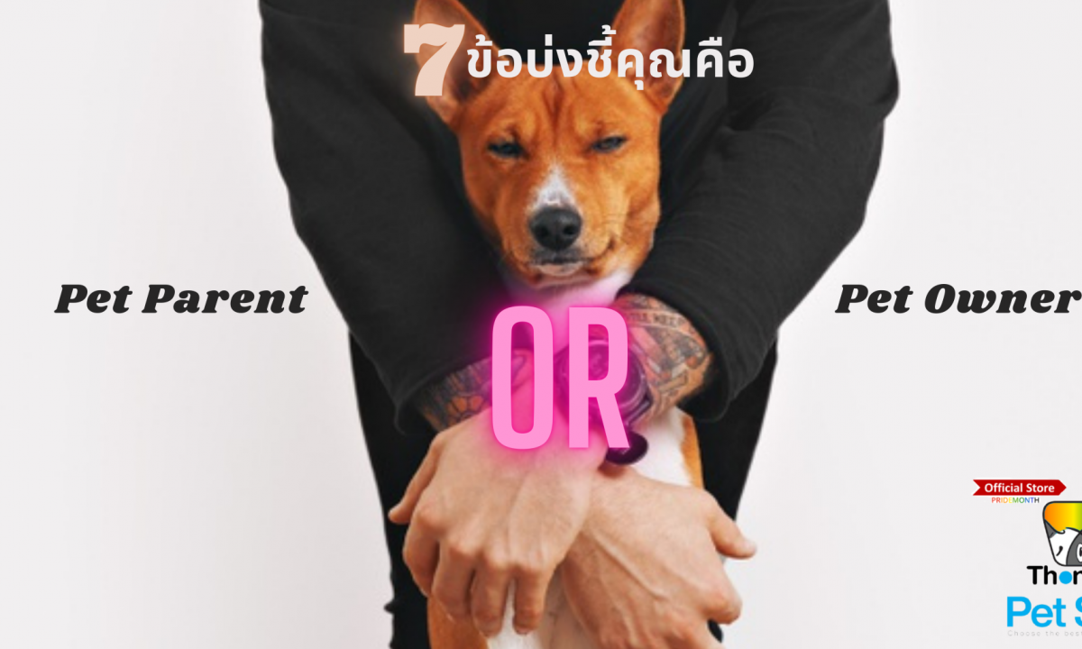 7 ข้อบ่งชี้คุณคือ Pet Parent หรือ Pet Owner?