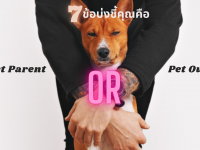 7 ข้อบ่งชี้คุณคือ Pet Parent หรือ Pet Owner?