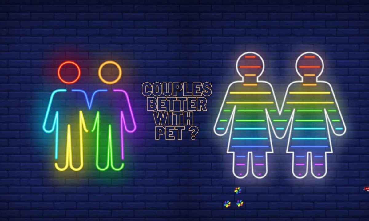 Why LGBT relationship is better with Pet [4 reasons why]