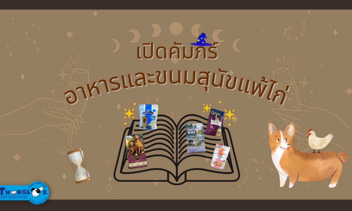 เปิดคัมภีร์อาหารสุนัขแพ้ไก่ 13 อันดับ ทั้งแบบเปียกและแห้ง มีสูตรและยี่ห้อไหนบ้าง