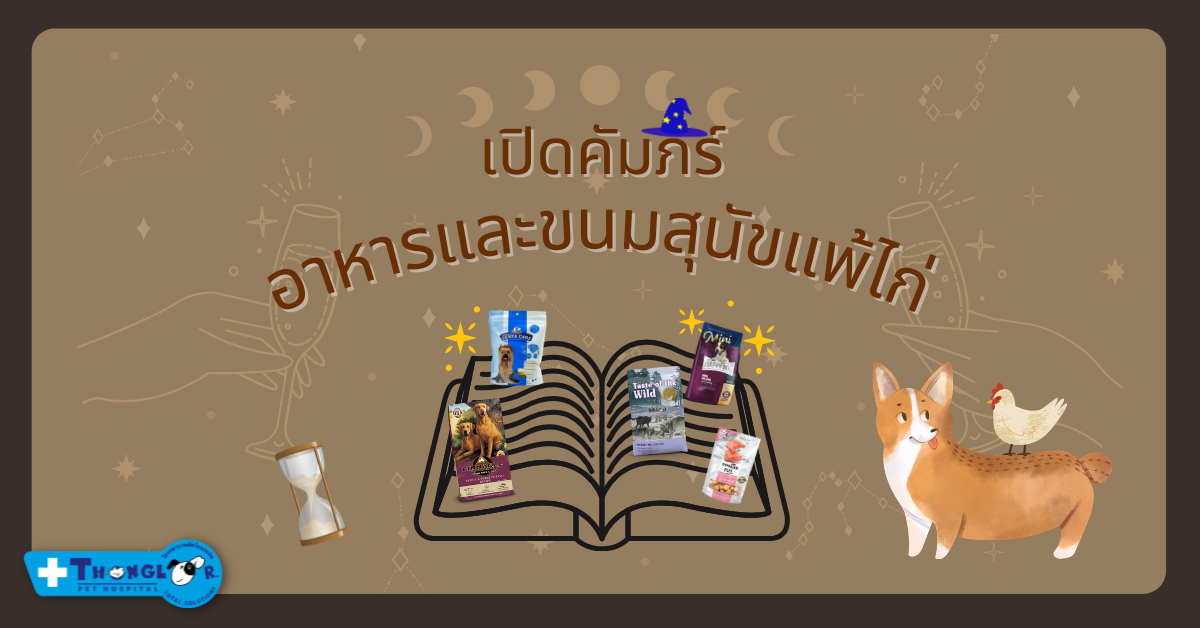 You are currently viewing เปิดคัมภีร์อาหารสุนัขแพ้ไก่ 13 อันดับ ทั้งแบบเปียกและแห้ง มีสูตรและยี่ห้อไหนบ้าง