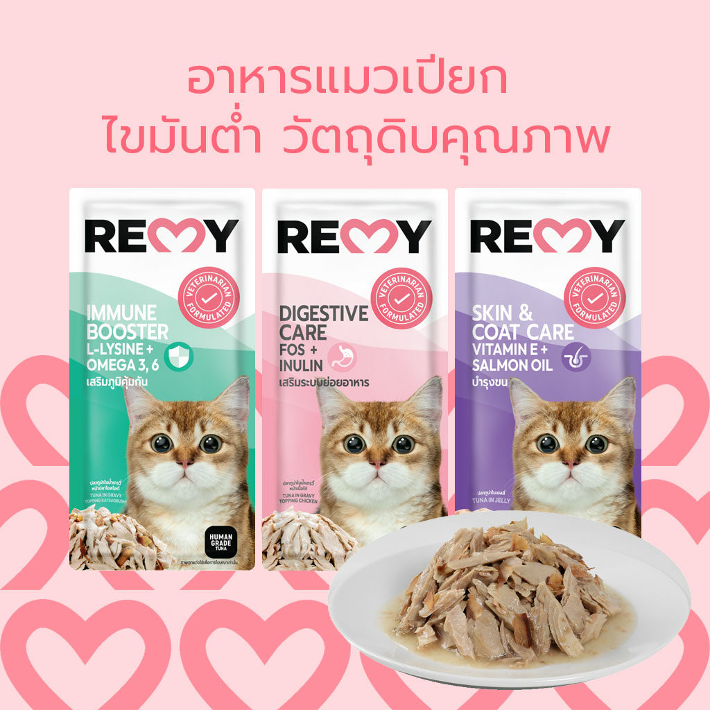 remy-cat-food-1024x1024-added-1024x1024