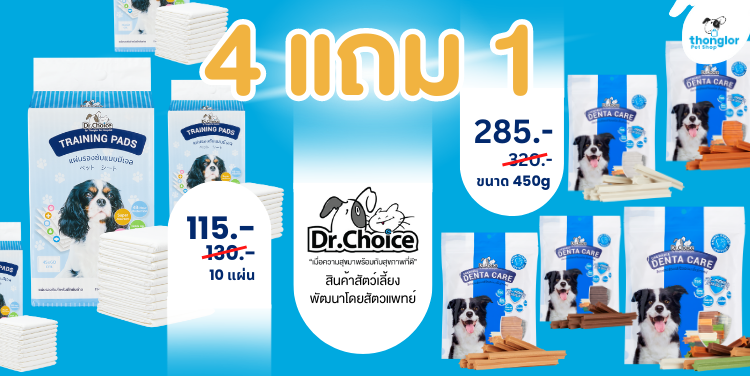 BAU_Dr.choice