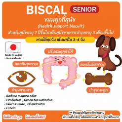 BISCAL ขนมคุกกี้สำหรับสุนัข สูตร Senior สำหรับสุนัขสูงวัย-300g (40 ชิ้น)