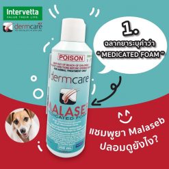 MALASEB MEDICATED FOAM (แชมพูขจัดเชื้อแบคทีเรีย เชื้อรา และยีสต์)