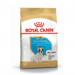 Royal Canin FRENCH BULLDOG JUNIOR อาหารลูกสุนัขพันธุ์เฟรนซ์บูลด๊อกช่วงหย่านม-1ปี